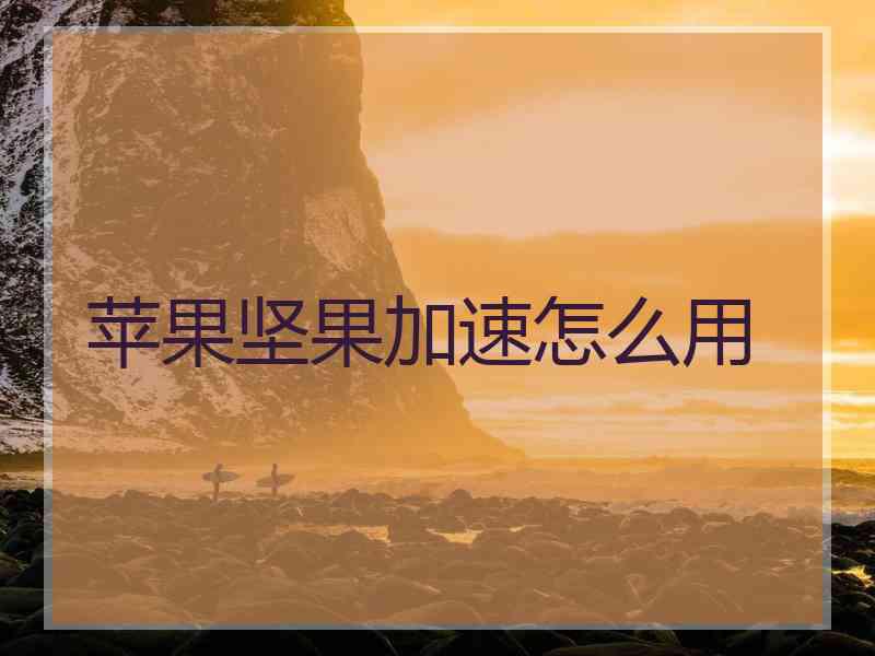 苹果坚果加速怎么用
