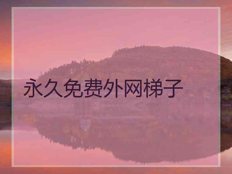 永久免费外网梯子