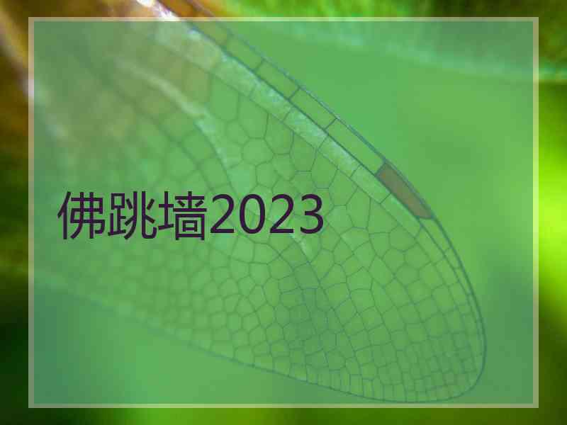 佛跳墙2023