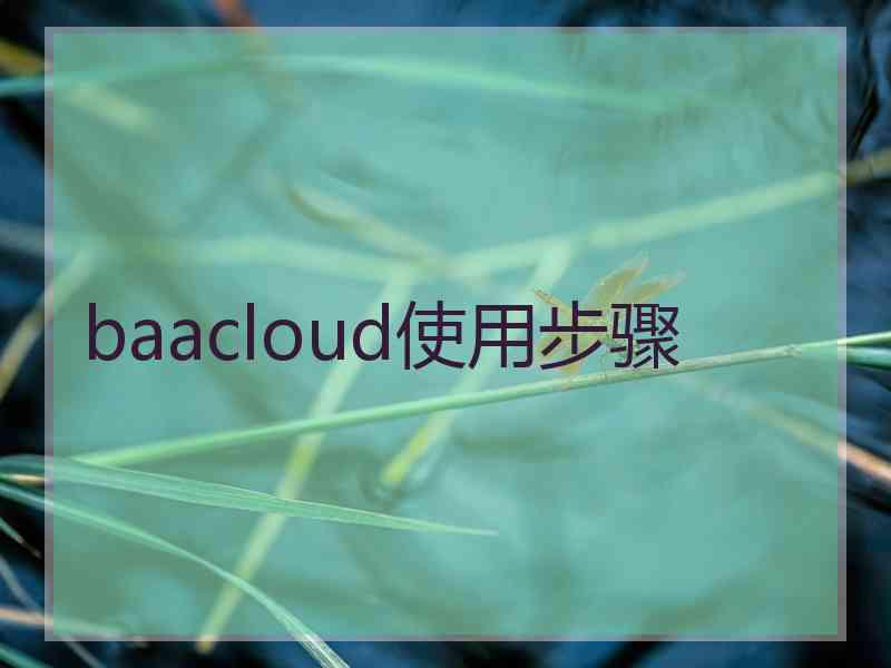 baacloud使用步骤