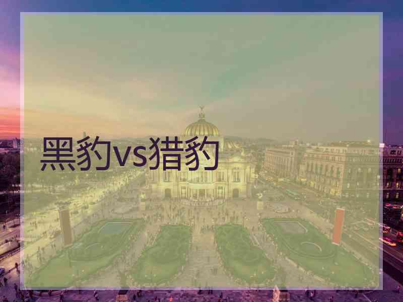 黑豹vs猎豹