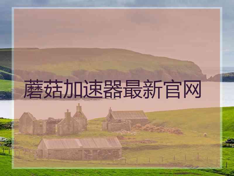 蘑菇加速器最新官网